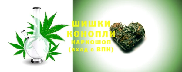 шишки Ростов